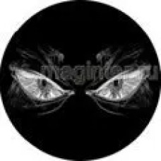 Пластина шунгитовая для телефона круглая ГЛАЗА  фото