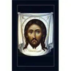 Пластина шунгитовая для телефона прямоугольная Спас Нерукотворный  фото