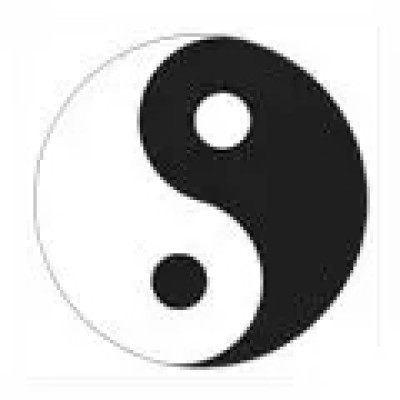 Пластина шунгитовая для телефона круглая Инь-Янь  фото