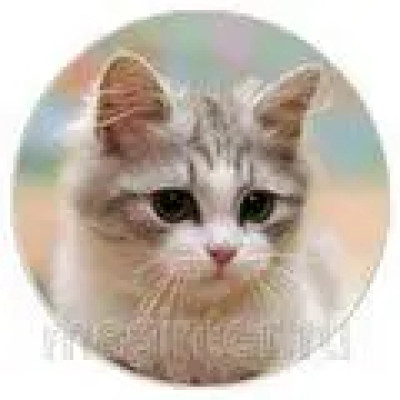 Пластина шунгитовая для телефона круглая Котик  фото