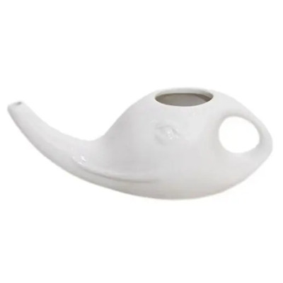 Нети-пот  фото