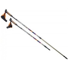 Палки для скандинавской ходьбы Carbon GTS
