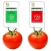 Нитратомер Greentest